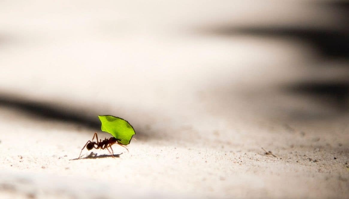 How to Get Respect From Others & Stop Being a People Pleaser