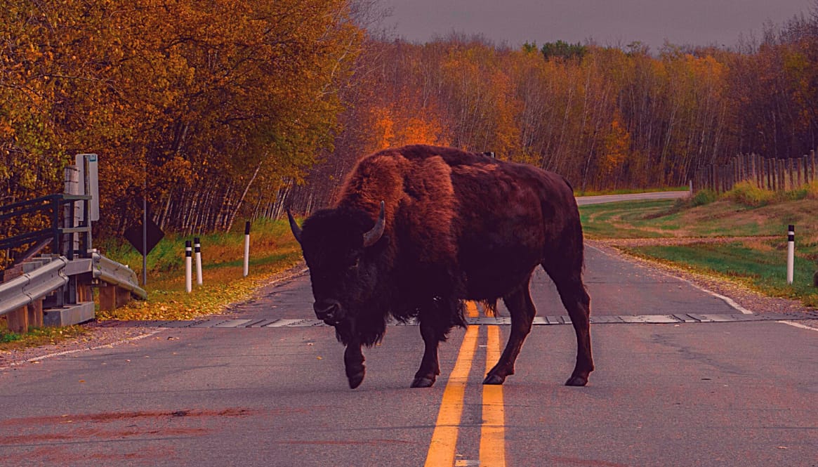 why bad things happen