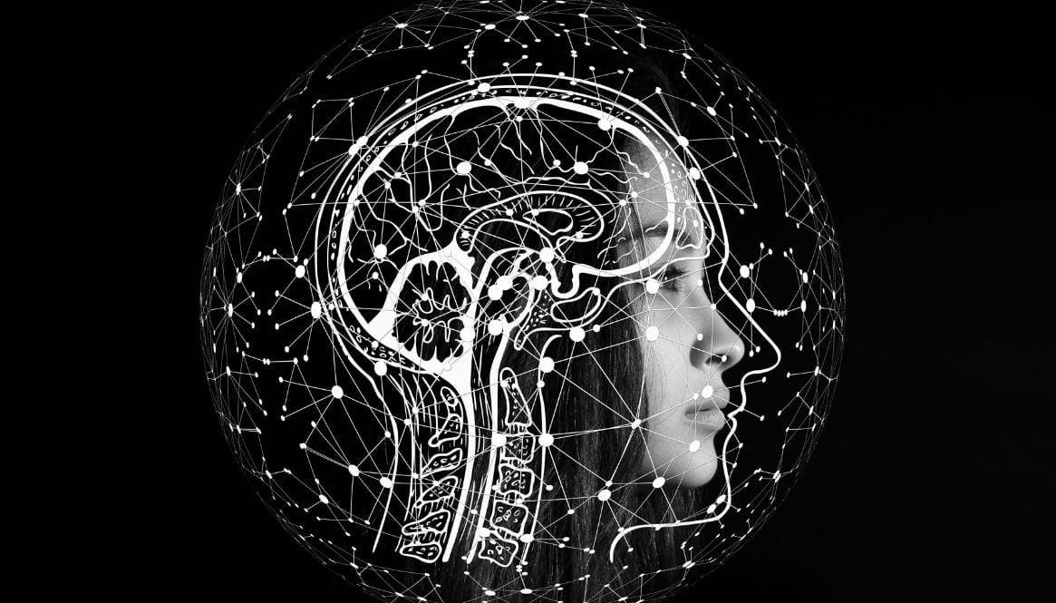 What is the nervous system