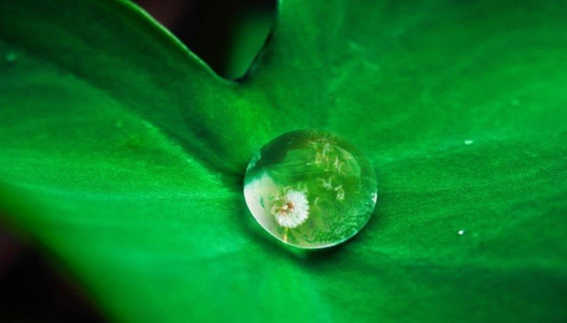 Take a Powerful Pause