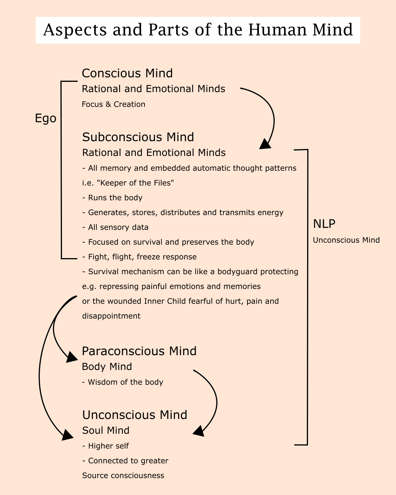 conscious and unconscious mind